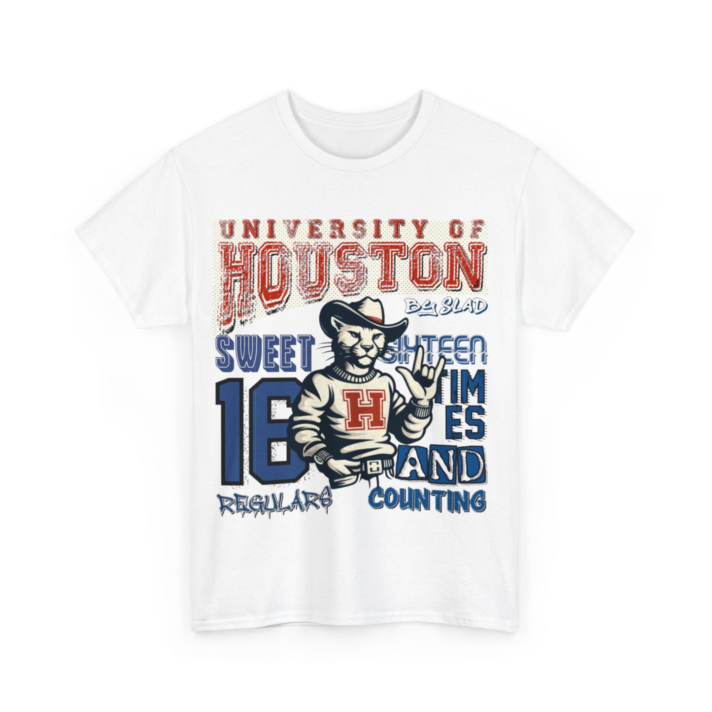 UNIVERSITY OF HOUSTON