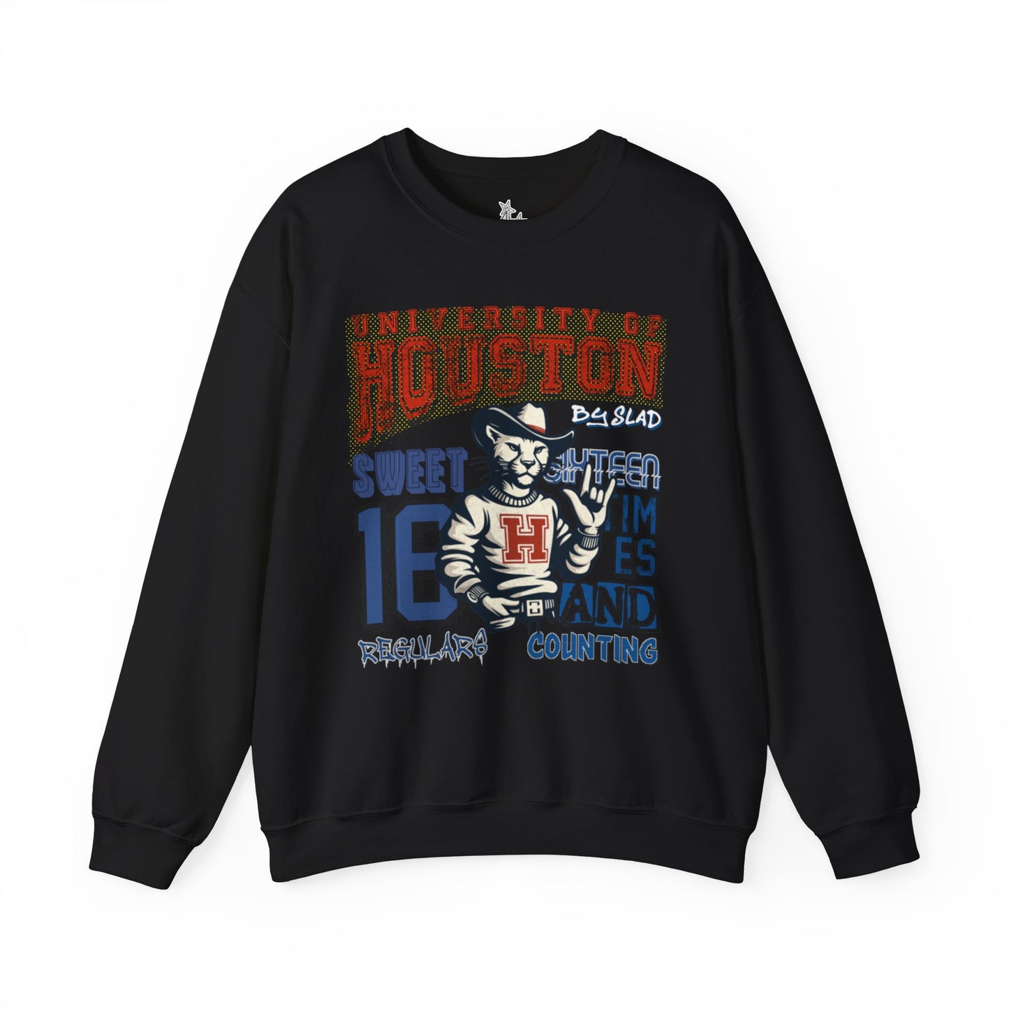 UNIVERSITY OF HOUSTON SWEATSHIRT