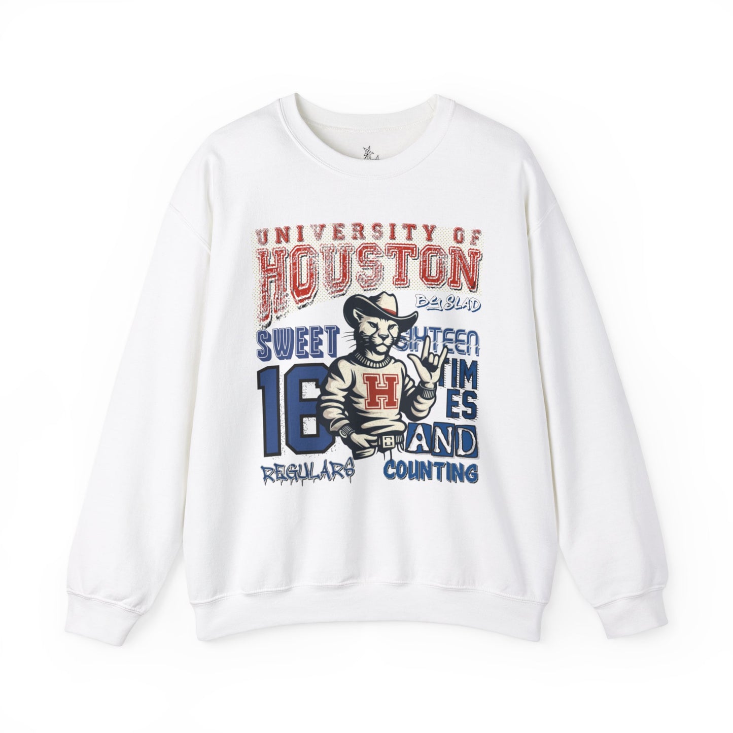 UNIVERSITY OF HOUSTON SWEATSHIRT